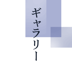 ギャラリー