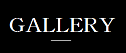 ギャラリー