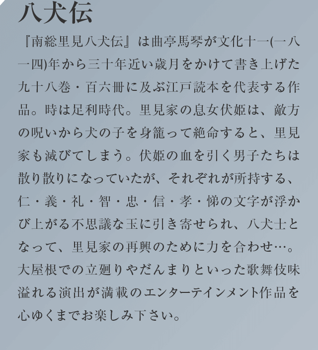 八犬伝
 『南総里見八犬伝』は曲亭馬琴が文化十一(一八一四)年から三十年近い歳月をかけて書き上げた九十八巻・百六冊に及ぶ江戸読本を代表する作品。時は足利時代。里見家の息女伏姫は、敵方の呪いから犬の子を身籠って絶命すると、里見家も滅びてしまう。伏姫の血を引く男子たちは散り散りになっていたが、それぞれが所持する、仁・義・礼・智・忠・信・孝・悌の文字が浮かび上がる不思議な玉に引き寄せられ、八犬士となって、里見家の再興のために力を合わせ…。大屋根での立廻りやだんまりといった歌舞伎味溢れる演出が満載の
エンターテインメント作品を心ゆくまでお楽しみ下さい。