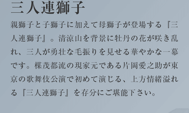 三人連獅子
親獅子と子獅子に加えて母獅子が登場する 『三人連獅子』。清涼山を背景に牡丹の花が咲き乱れ、三人が勇壮な毛振りを見せる華やかな一幕です。楳茂都流の現家元である片岡愛之助が東京の歌舞伎公演で初めて演じる、上方情緒溢れる『三人連獅子』を存分にご堪能下さい。