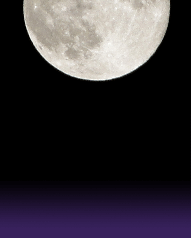 氷川きよし 特別公演